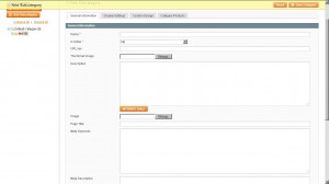 Создать категорию в Magento
