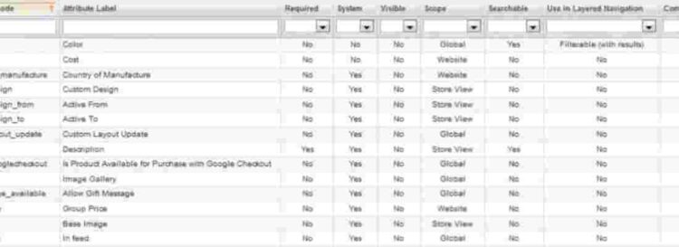 magento product attributes options